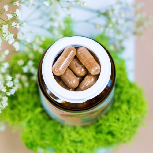 wellbear-shiitake-400mg-8.jpg
