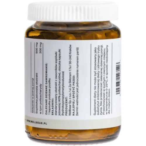 wellbear-lion-s-mane-soplowka-jezowata-500-mg-60-kapsulek (3).webp
