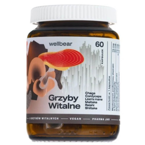 wellbear-grzyby-witalne2.jpg