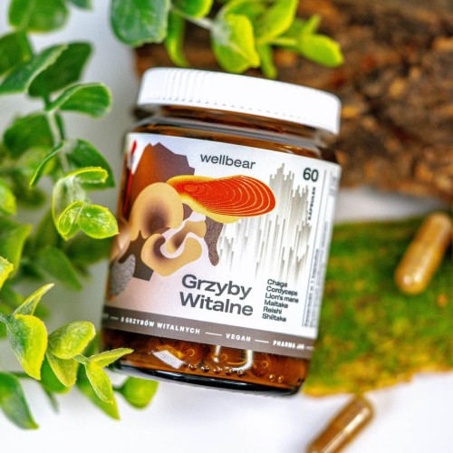 wellbear-grzyby-witalne8.jpg