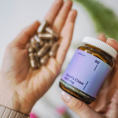 devils-claw-500-mg-7.jpg