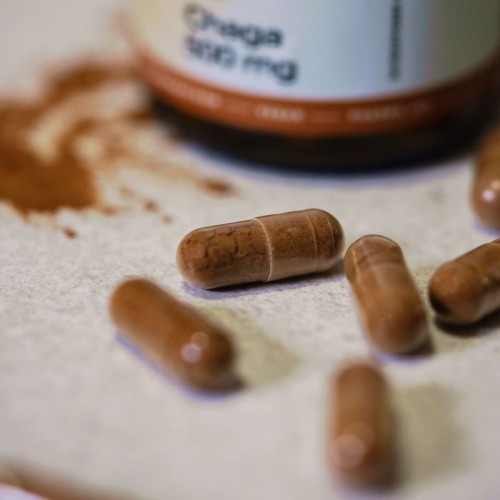 wellbear-chaga-500-mg-6.jpg