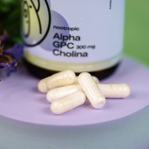 wellbear-alpha-gpc-300-mg-11.jpg